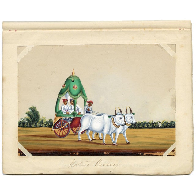 Paper Indian Company School, Native Hackery with Two Oxen, 1800s, Gouche Paper For Sale - Image 7 of 9