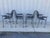 Mid-20th Century René Herbst Sandows Armchairs - Set of 4 For Sale In Atlanta - Image 6 of 12