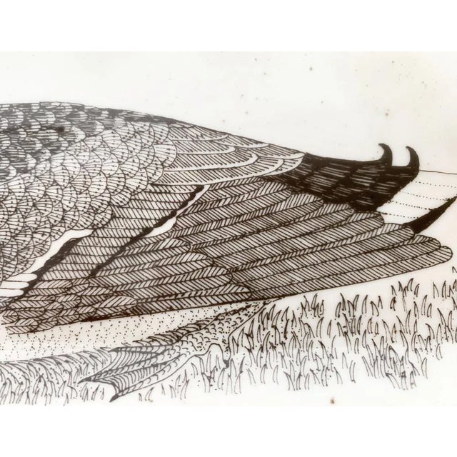 Ceramic Vintage German Ceramic Bird Plate from Thomas For Sale - Image 7 of 18