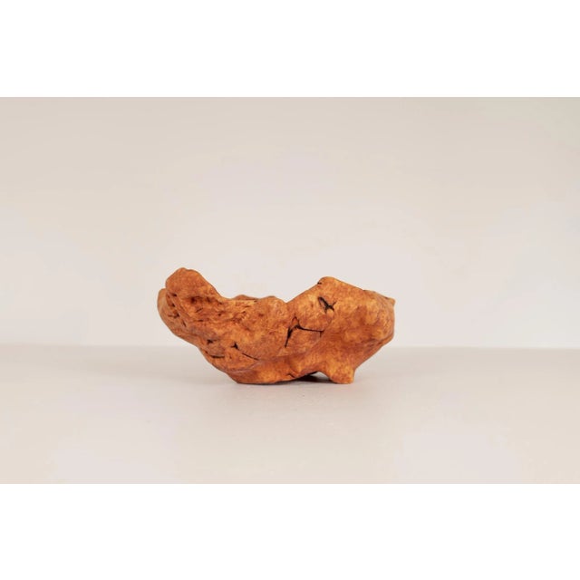 Large Scandinavian Modern Swedish Folk Art Organic Burl Bowl, 1960s For Sale - Image 4 of 11