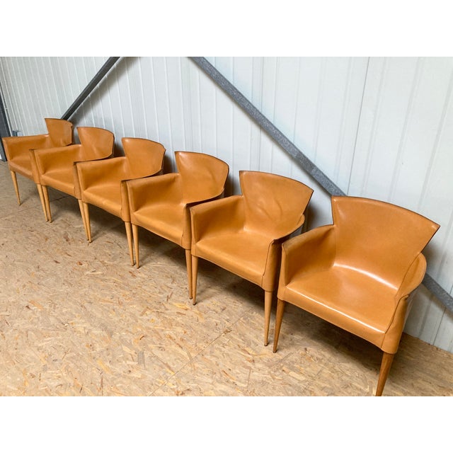 Cognac Leather Vela Chairs by Carlo Bartoli for Matteo Grassi, 1980s, Set of 6 For Sale - Image 6 of 18