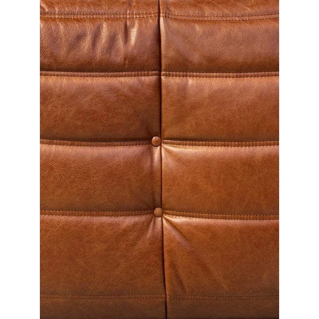 French Togo T3-Seater Sofa in Cognac Leather by Michel Ducaroy for Ligne Roset For Sale - Image 13 of 14