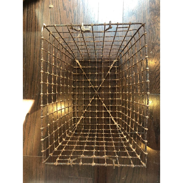 Rusted Metal Oyster Basket Chairish