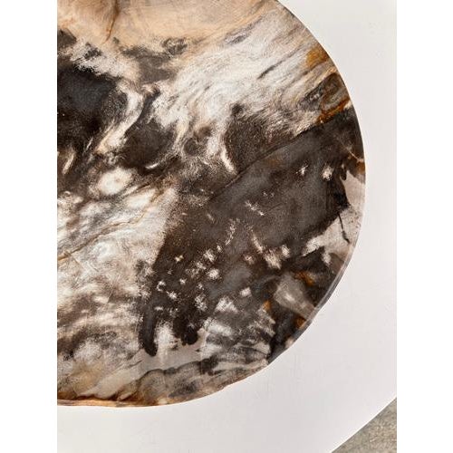 Very Large Vide-Poche or Dish in Petrified Wood For Sale - Image 12 of 18