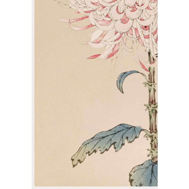 White Mum by Hasegawa, Vintage Japanese Botanical Art Print, 20" X 30" For Sale - Image 4 of 10