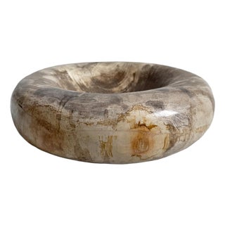 Vintage Petrified Wood Organic Modern Decorative Bowl For Sale
