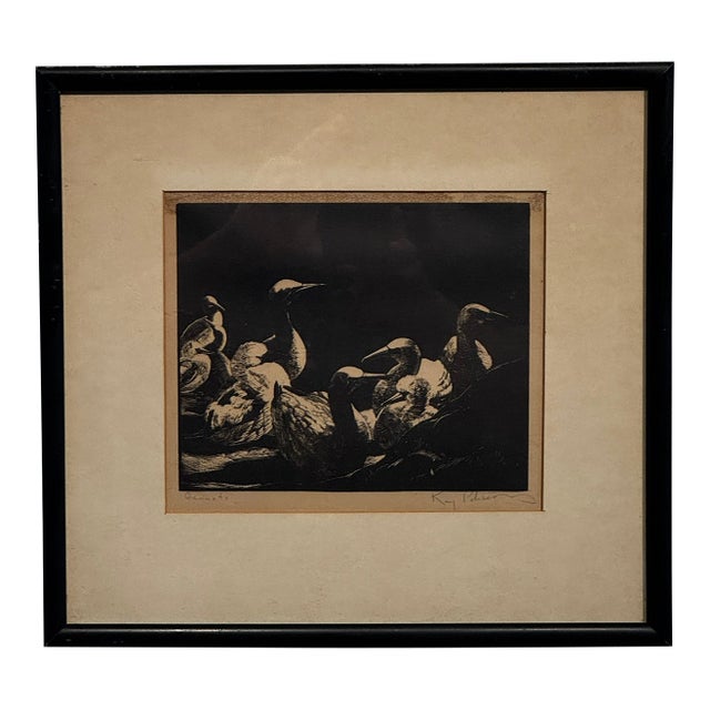 Mid 20th Century Kay Peterson Signed “Gannets” Original Lithograph, Framed For Sale