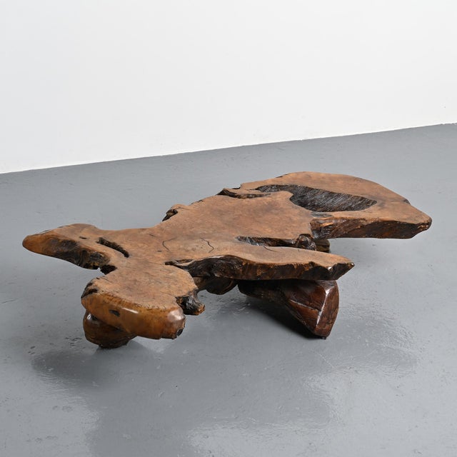 Large, free-form coffee table crafted from a single, imposing piece of elm burl, circa 1960. The tabletop retains the...