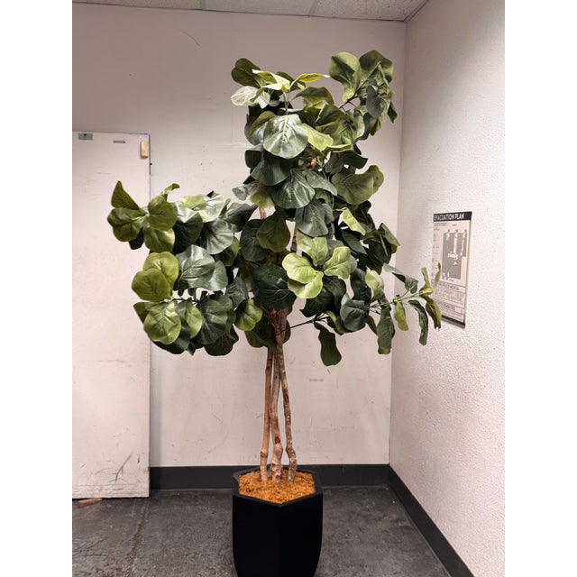 Plastic Faux Fiddle Leaf Fig Tree + Tapered Black Planter For Sale - Image 7 of 12