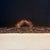 Wood 19th Century French Louis XVI Walnut Sofa or Canapé With Museum Quality For Sale - Image 7 of 11