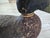 American Antique Hand-Stamped "K" Rig Cork & Wood Black Duck Decoy - Early 20th Century Americana For Sale - Image 3 of 12