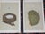 Late 19th Century Authentic Antique 19th Century Hand Colored Bird Nest & Egg Lithographs - Set of 12 For Sale - Image 5 of 9