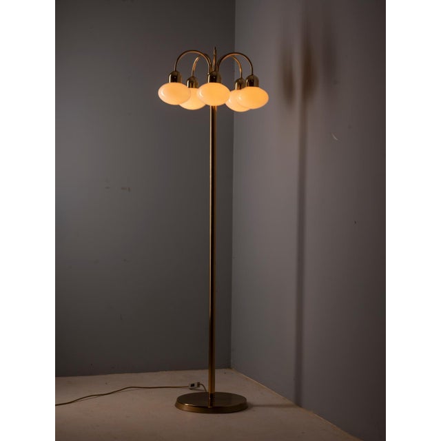 Elegant vintage floor lamp featuring a slender brass-colored metal stem with five curved arms and five opaline glass...