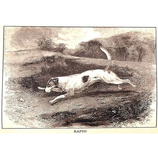 "Sport on Land and Water: Volumes I, Ii, Iii" 1913 Griswold, Frank Gray For Sale - Image 12 of 18