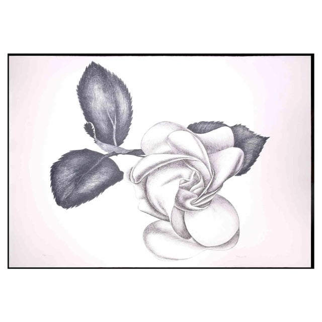 Giacomo Porzano, Black Rose, Original Etching, 1972 For Sale