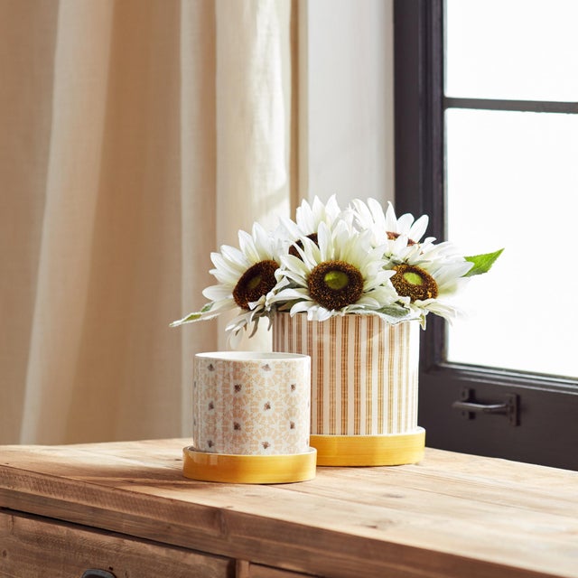 Add a cheerful buzz to your plant display with this vibrant set of Bumble Bee Striped Planters. Crafted from durable...