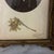 2000 - 2009 Antique French Ornate Gilt Metal Photo Frame With Original Portrait & Pressed Edelweiss For Sale - Image 5 of 7