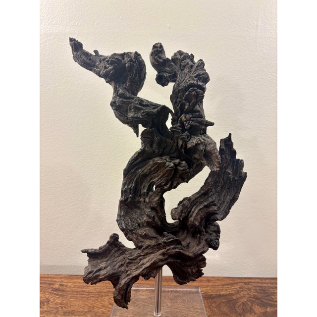 Brown Vintage Coastal Burl Wood Sculpture on Lucite Base, Natural Fantasy Form For Sale - Image 8 of 10