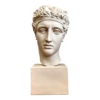 Vintage Plaster Classical Bust of Roman Warrior For Sale