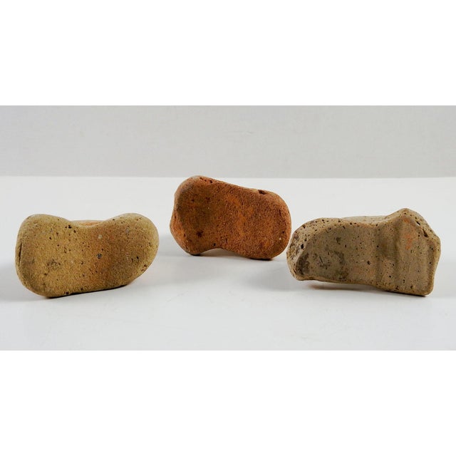 Ancient Fragments Mediterranean Pottery Amphora Handles Set of 3 For Sale - Image 4 of 4