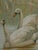 Emrik & Binger, The Avian Collection, 1880, Chromolithograph For Sale - Image 8 of 13