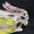 This vintage hand painted adorable bunny rabbit will be a wonderful showpiece on your spring table or sideboard. This is a...