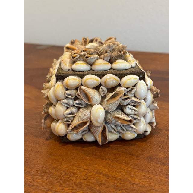 Wood Vintage Palm Beach Style Rectangular Encrusted Shell Box in Neutral Palette For Sale - Image 7 of 18