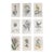 Authentic Antique Early 19th Century Hand Colored Copperplate Botanical Engravings - Set of 9 For Sale