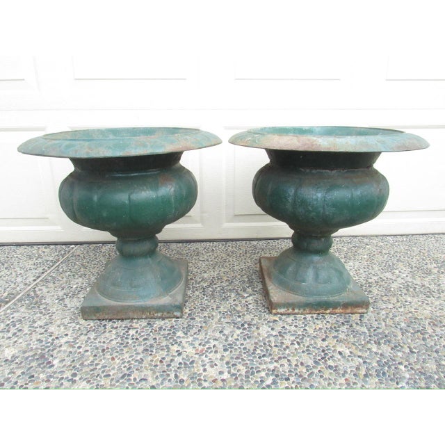 Metal Pair of Antique French Medici Style Cast Iron Urns For Sale - Image 7 of 18
