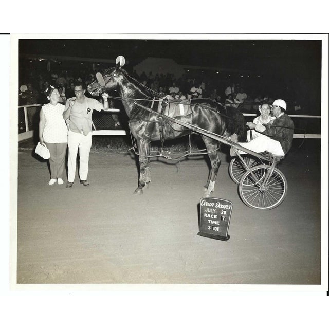 1960s winner's circle black and white photograph from the Ocean Downs Race Course in Berlin, Maryland. Combined shipping...