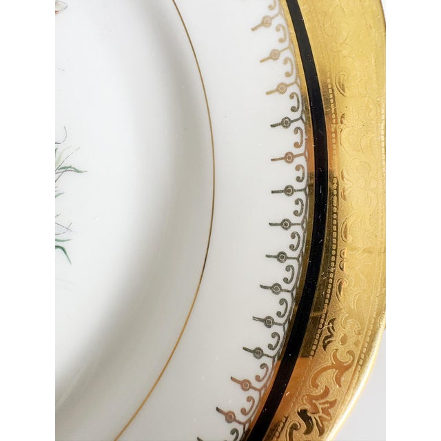 Ceramic Plates with Fish Decoration, France, 1970s, Set of 3 For Sale - Image 16 of 17