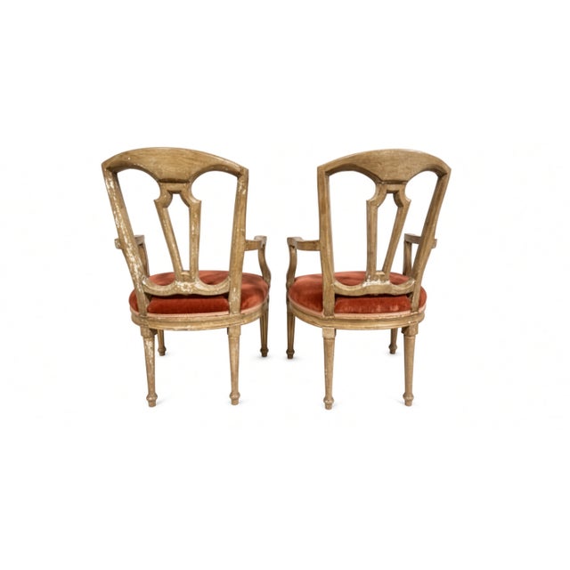 A pair of antique Louis XVI style open-back armchairs with distressed painted wood frames, gilt remnants, and recovered...
