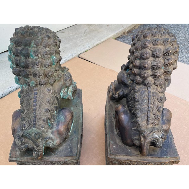 Antique Bronze Guardian Lions or Foo Dogs - A Pair For Sale - Image 16 of 17