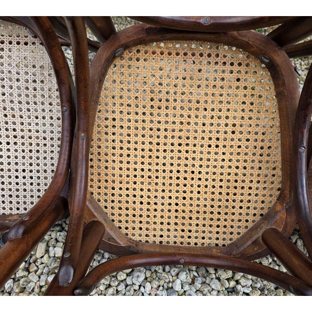 Wood Bentwood Bistro Chairs with Cane Seats attributed to Michael Thonet for Thonet, 1950s, Set of 4 For Sale - Image 7 of 9