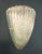 1960s 1960s Green and Pink Graniglia Shield Sconce For Sale - Image 5 of 13