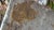 Antique Persian Qatar Pottery Tile For Sale - Image 12 of 15