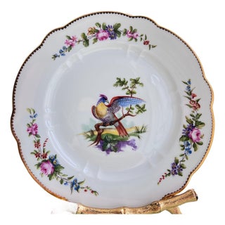 1930s Set of 6 Sevres birds bread plates // Traditional decor // decorative fine china // hand decorated and signed by artist // mix and match For Sale