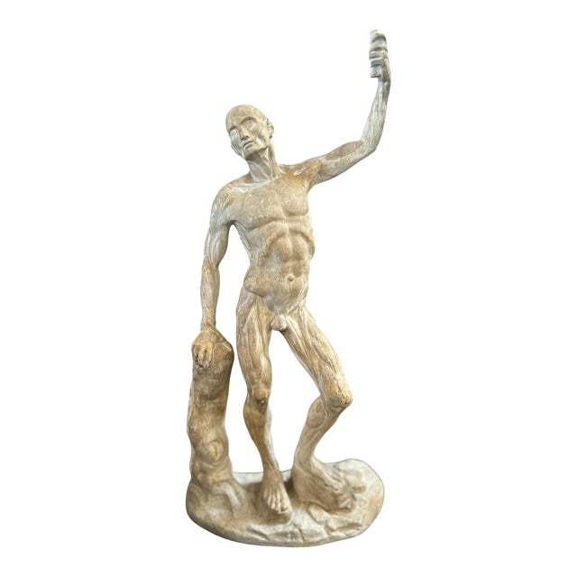 Anatomical Skeletal Cast, Italy 80s For Sale