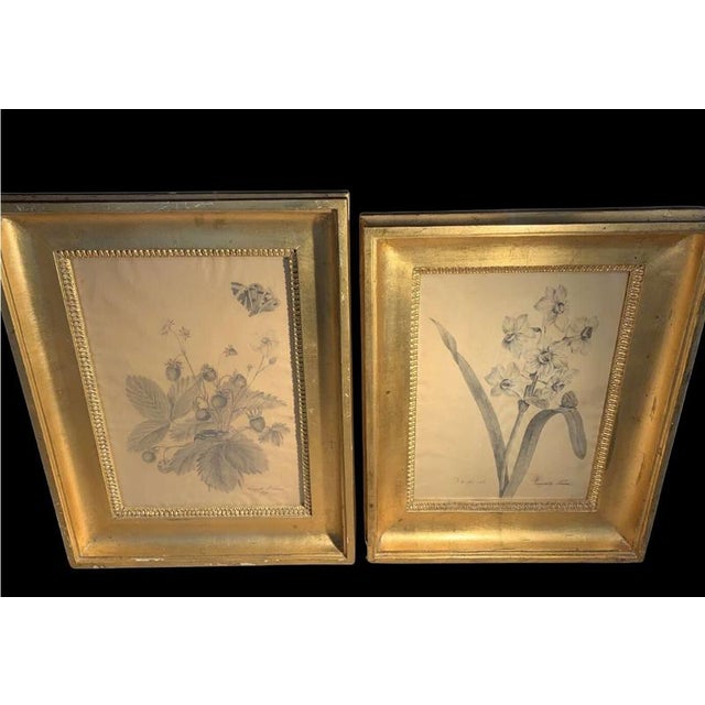 Margaret Trone, Swedish Empire Flower, Paper, Framed, Set of 2 For Sale - Image 14 of 14