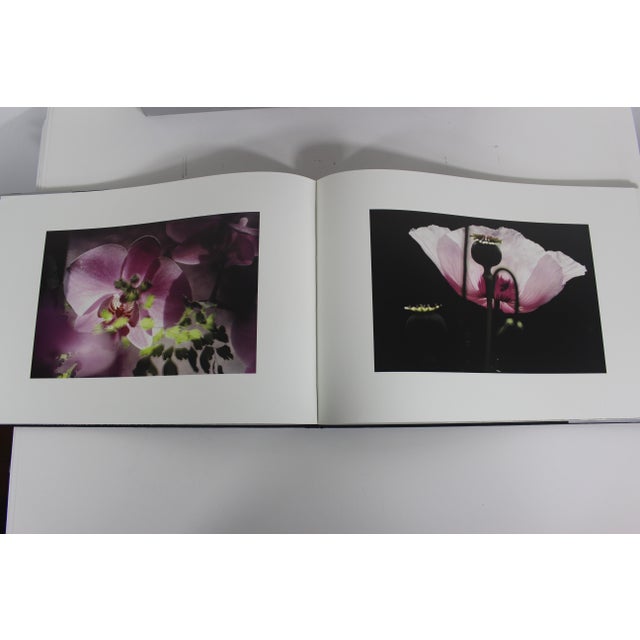 Silver 1986 Flower Show by Dennis Stock Hardcover Hard Cover Book in Case, Gift for Art Lover, Coffee Table, Bookshelf Styling, Shelf Rizzoli For Sale - Image 8 of 10