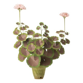 The Green Vase Geranium Plant in Blush with Burnt Umber Leaves For Sale