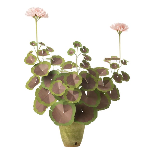 The Green Vase Geranium Plant in Blush with Burnt Umber Leaves For Sale