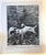 1930s 1933 Dog Book Illustration English Setter Print For Sale - Image 5 of 5