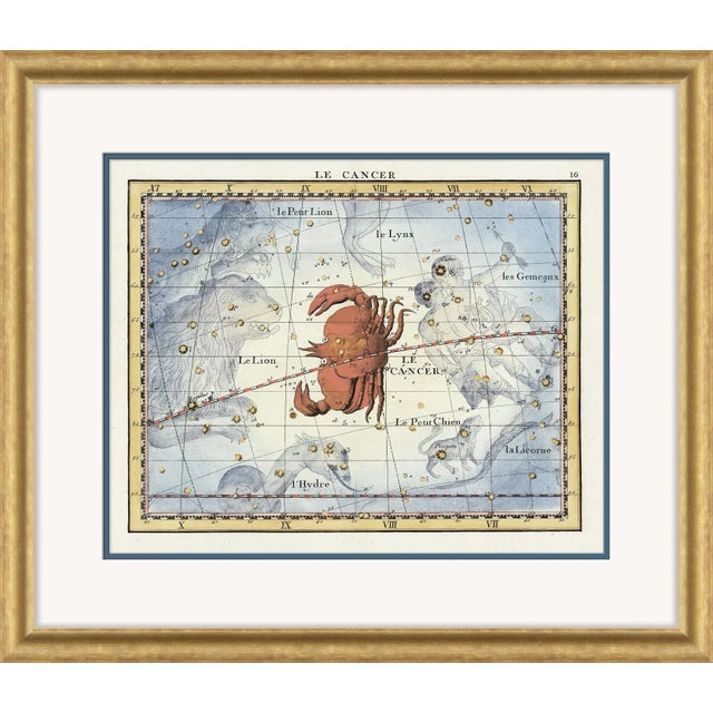 Wood Astrology Signs Series Framed Art Prints - Set of 12 by David Phoenix For Sale - Image 7 of 13