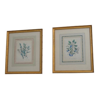 1900s Pair of Floral Engraving Prints Artwork For Sale