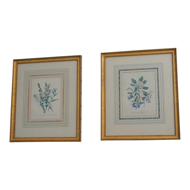 1900s Pair of Floral Engraving Prints Artwork For Sale