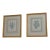 1900s Pair of Floral Engraving Prints Artwork For Sale