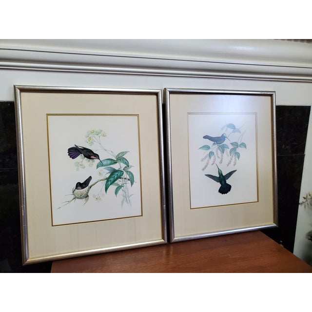 In these hand-colored lithographs, Gould captures the iridescent, jewel-like quality of the hummingbirds through vibrant...