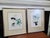 In these hand-colored lithographs, Gould captures the iridescent, jewel-like quality of the hummingbirds through vibrant...