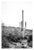 Contemporary Southwest Desert Cactus Tucson Photo - 20" X 30" For Sale